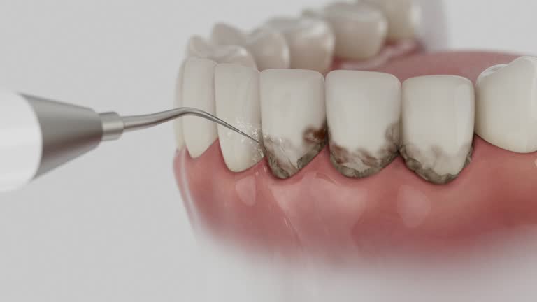 Reliable Dental contractor in Pinconning, MI by Dentist Open Now